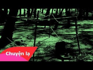 Chuyện là Việt Nam - Cách luyện Thiên Linh Cái