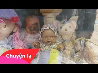 Chuyện khó tin - Búp bê biết khóc ra nước mắt