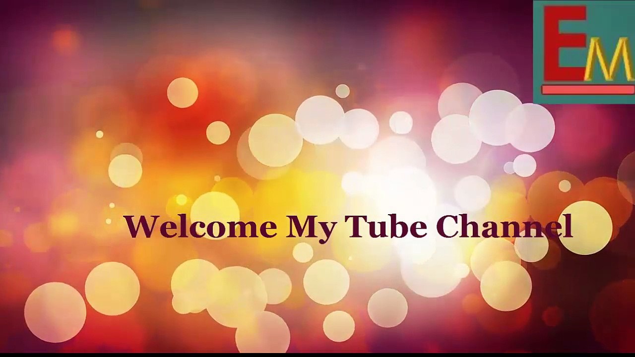 funny videos