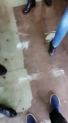 Vërshohet nga uji një klasë në shkollën “Kuvendi i Lezhës” në Viti