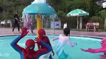 Spiderman vs Frozen Elsa grazing Joker steal Chickens Catwoment Fun Superheroe movie