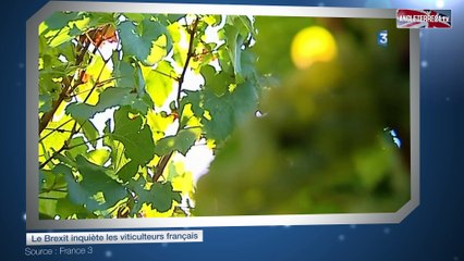 Le Brexit inquiète les viticulteurs français