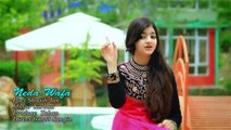 Pashto New HD Song 2017 Za Yam Wafa By Neda Wafa