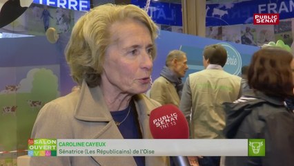 Caroline Cayeux dénonce « une manipulation diabolique »