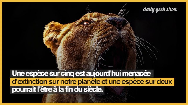 La plupart des espèces animales et végétales sont menacées de disparition