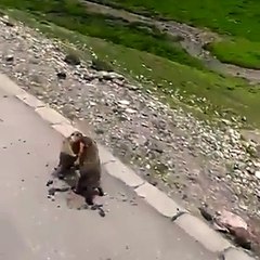 la mejor luchaEl mejor lugar para un enfrentamiento!