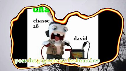 pose pigeons branches