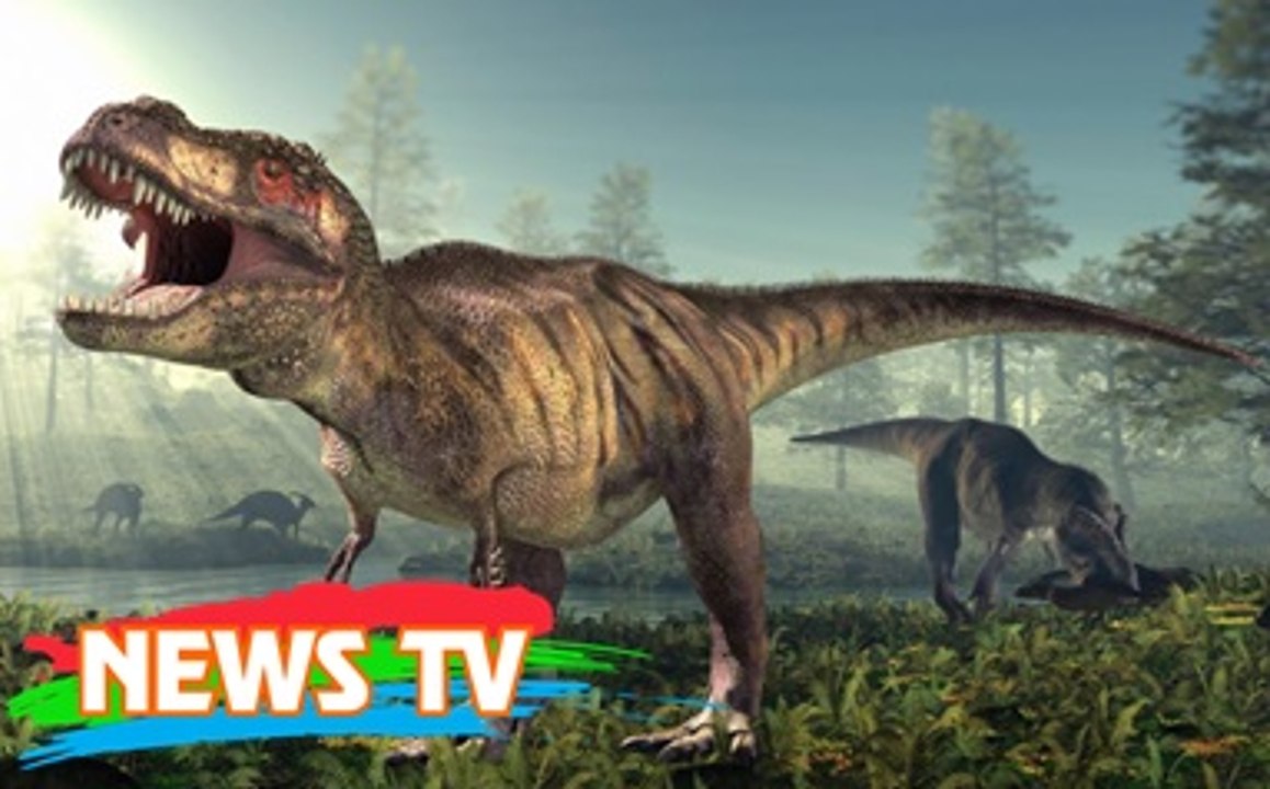 Top 8 quái vật "khủng" nhất hành tinh