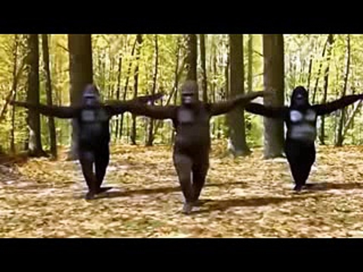 Singe Qui Danse Sur Aronchupa I M An Albatraoz1 Video Dailymotion