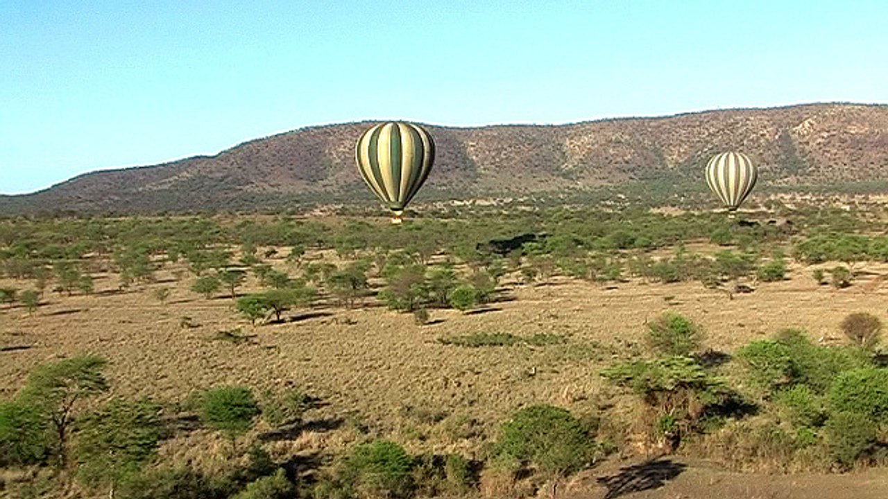 dag 11: Serengeti NP - Karatu - 22/11/2016