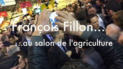 François Fillon au Salon de l'agriculture