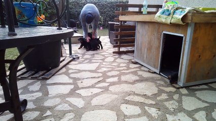 Câlins sous les bruits