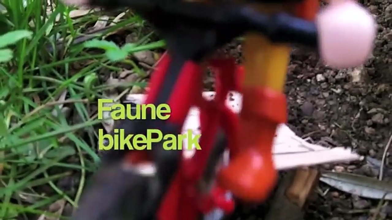 Faune BikePark été 2012