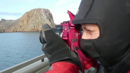 Investigadores chilenos, en la búsqueda de nuevos antibióticos en la Antártida