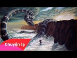 Chuyện khó tin - Bí ẩn về loài rắn biển khổng lồ trong truyền thuyết