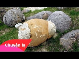 Chuyện khó tin - Bí ẩn về những hòn đá biết đẻ con