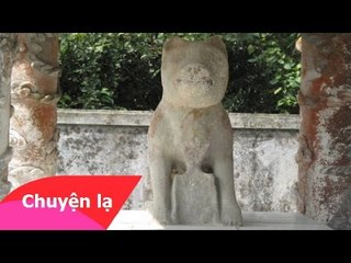 Chuyện lạ Việt Nam - Kỳ bí quanh bức tượng "thần cẩu" ở Huế