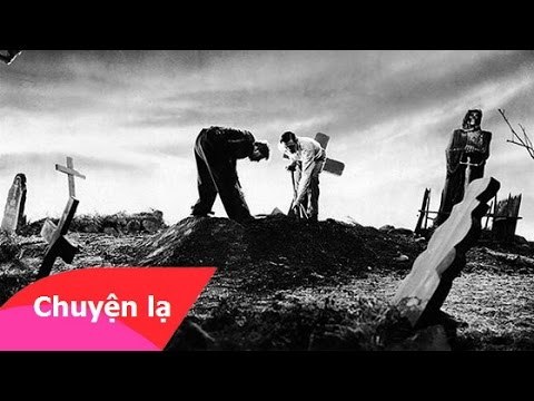 Chuyện nhân quả - Chuyện báo oán rùng rợn của những người đào bới nhà mộ