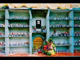 Chuyện tâm linh có thật - Nghĩa trang dành cho chó, mèo độc nhất ở Hà Nội