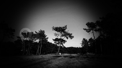 VIDEO 10º ANIVERSARIO UNIFERSA