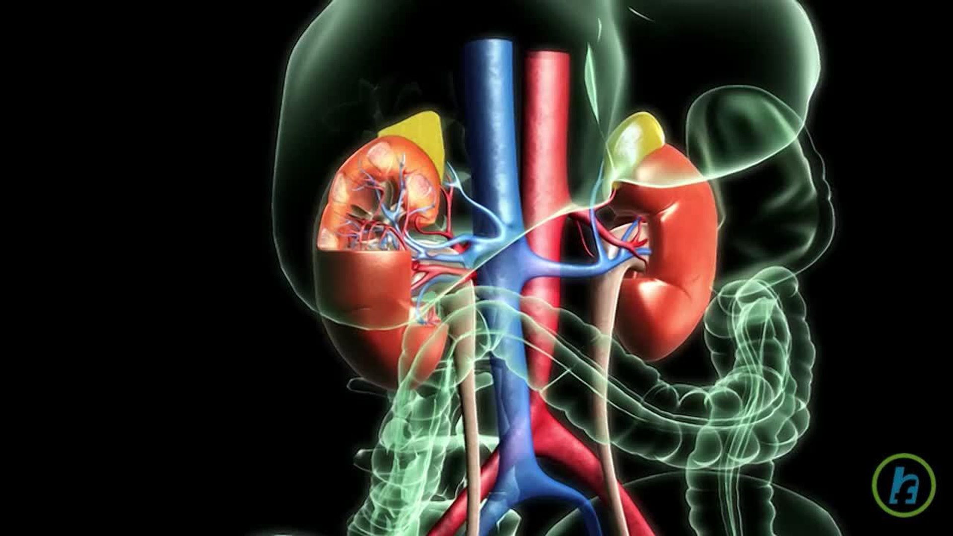 ⁣New Diabetes Drug In Second Trial Phase