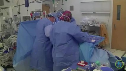 What to Know about Polycystic Kidney Disease