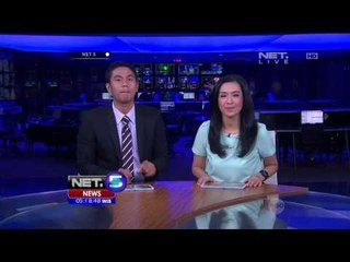 Momen Kumpulan Paus Bungkuk di Bawah Cahaya Aurora - NET5