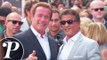 [Reportage] Sylvester Stallone et Arnold Schwarzenegger : ces sportifs reconvertis dans le cinéma