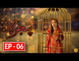 Pinjra - Episode 6 - Aplus