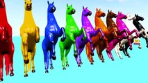 3D Horse Colours Songs Collection, Learning Colours For Children Nursery Rhymes and Songs