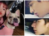 Suốt ngày tự nhận giống Lee Min Ho, Kelvin Khánh bị Khởi My troll ‘đỡ không nổi’