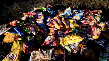 ЧТО ЕСЛИ ЗАСЫПАТЬ ЦЕЛУЮ ВАННУ ЧИПСАМИ (1 СЕРИЯ)