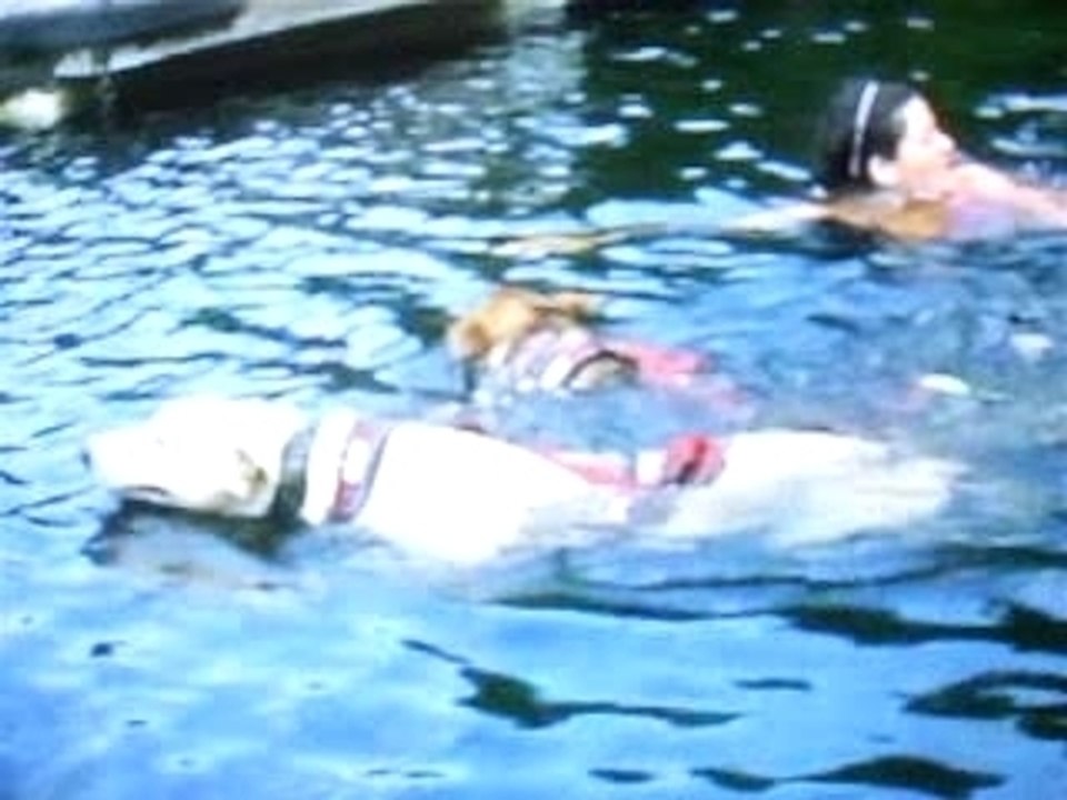 WATER SLED bis ...