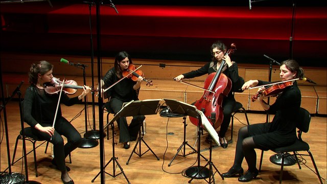 Dvorak : Ohlas písní (Echos de chants) B 152, 12 pièces pour quatuor à cordes d'après le cycle de 18 mélodies Les Cyprès B 11 IX. Ó duse drahá jedinká - Quatuor Akilone