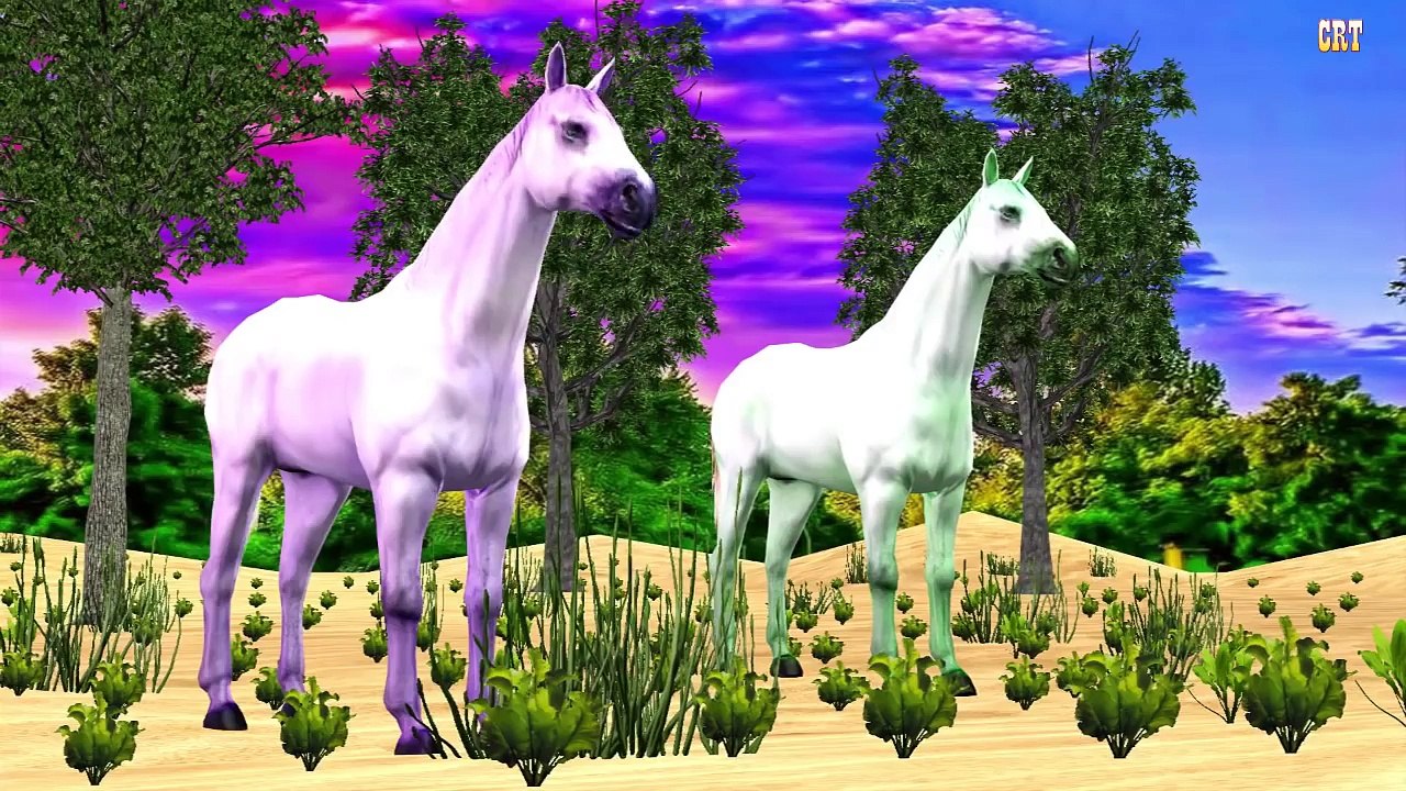 Horse For Kids | Nursery Rhyme For Children | Learn Farm Animals For Children Rhymes