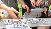 Connaissez-vous le « seed bombing », ces « bombes » pour planter des fleurs n’importe où ?