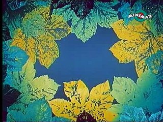 Moha És Páfrány @ 09 Moha És Páfrány Tűzifáért Megy