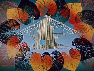 Moha És Páfrány @ 11 Hogyan Muzsikált Moha És Páfrány A Kis Tündérnek