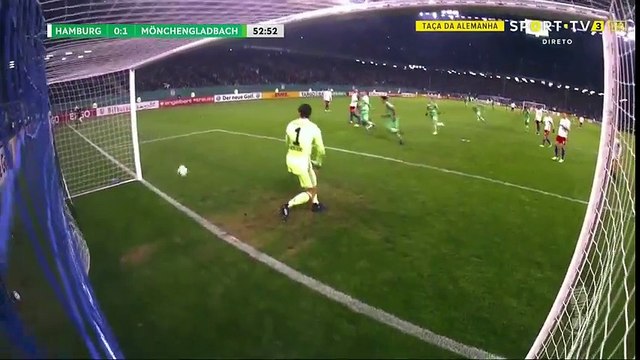 All Goals & highlights - Hamburger 1-2 Borussia Monchengladbach - 01.03.2017 ᴴᴰ