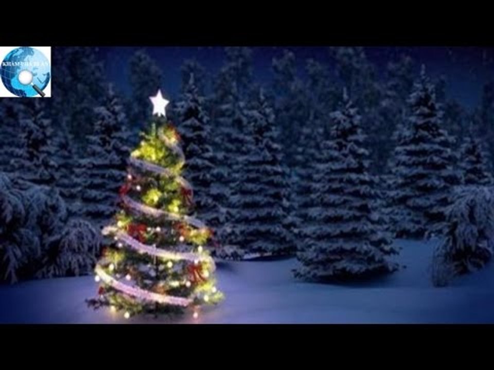 Hé lộ sự thật ít người biết về cây thông Noel đang xuất hiện ở khắp nơi trên thế giới