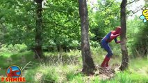 Spiderman vs ABEJAS! w/ Joker y Hulk Abejas Spiderman en la Película de Superhéroes de la Vida Real SHMIR