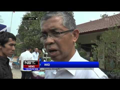 Kabut Asap Pekat Ganggu Aktivitas Belajar Siswa di Palembang - NET12