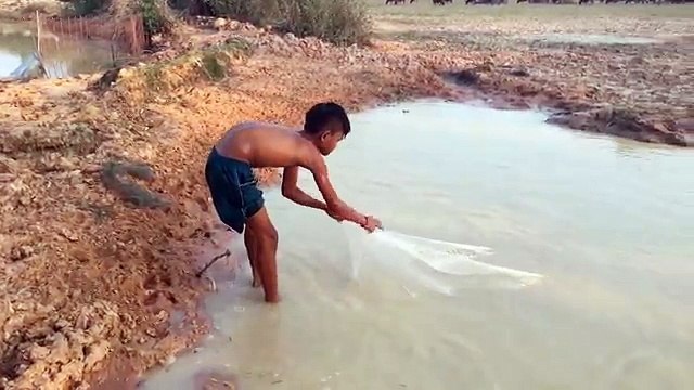 Amazing Kid Fishing - How To Catch Fish Using Cast Net In Cambodia