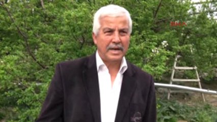 Mersin Silifke'de Erik Hasadı Hazırlığı