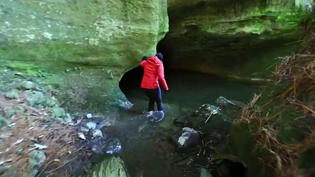 Grâce à ce timelapse, découvrez les grottes de vers bioluminescents de Waitomo en Nouvelle-Zélande