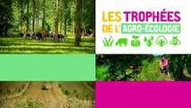 Stéphane Le Foll remet les Trophées de l'agro-écologie 2016-2017