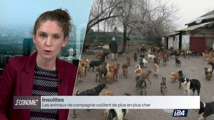 Insolites : le boom du marché des animaux domestiques, et celui des cosmétiques anti-pollution