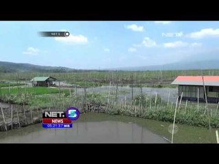 Akibat Eceng Gondok, Pendapatan Nelayan Merosot Tajam - NET 5