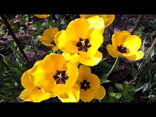 ULFGC 낙태수술 [중절수술~메일로 문의하세요.] 낙태가능한병원