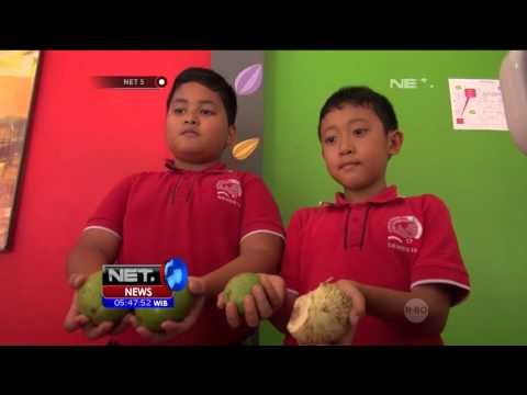 Siswa SD Ciptakan Serum Anti Rayap dari Buah Bintaro - NET5